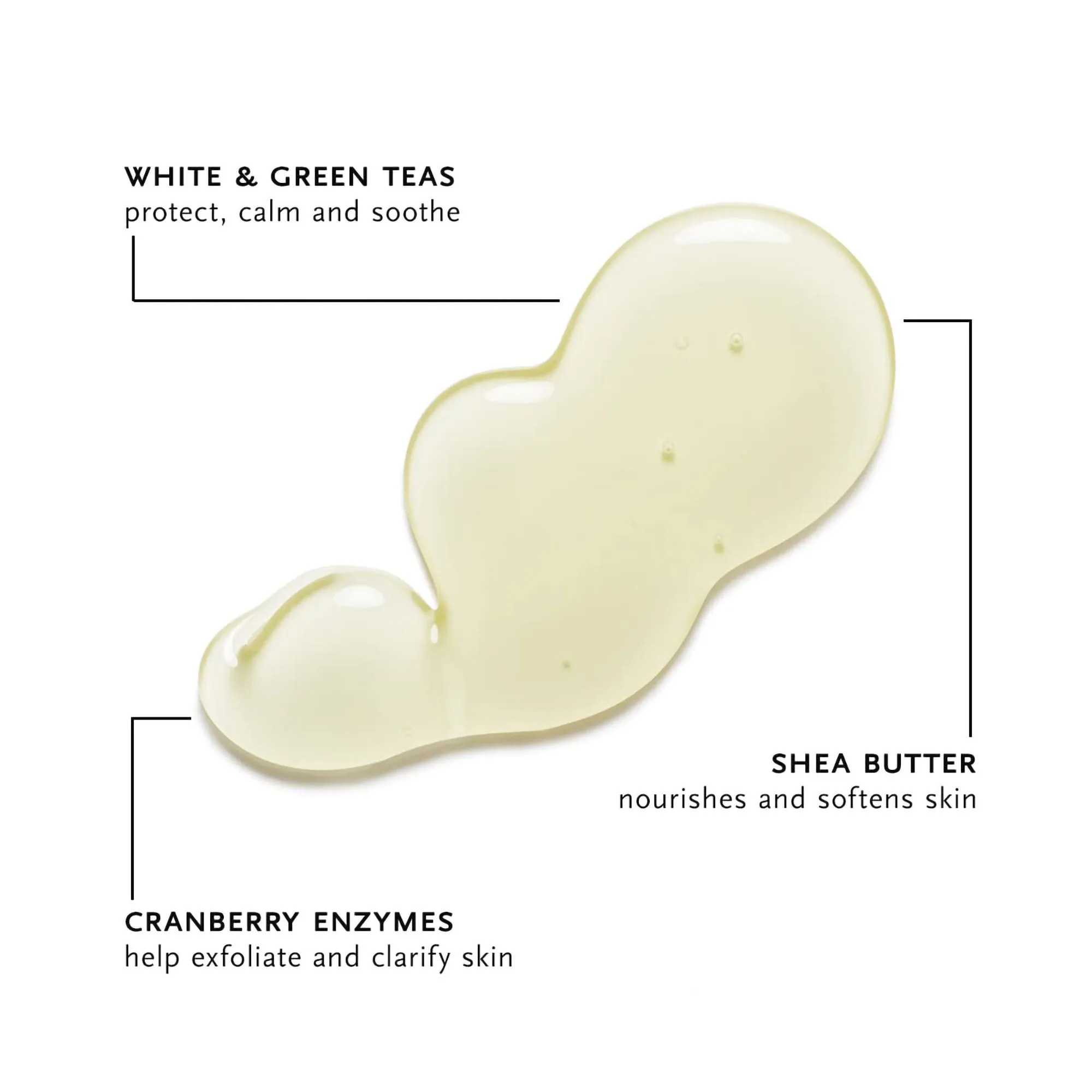 Arcona White Tea Purifying Cleanser