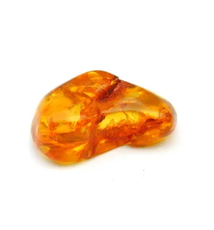 Asian Amber Fragrance Oil