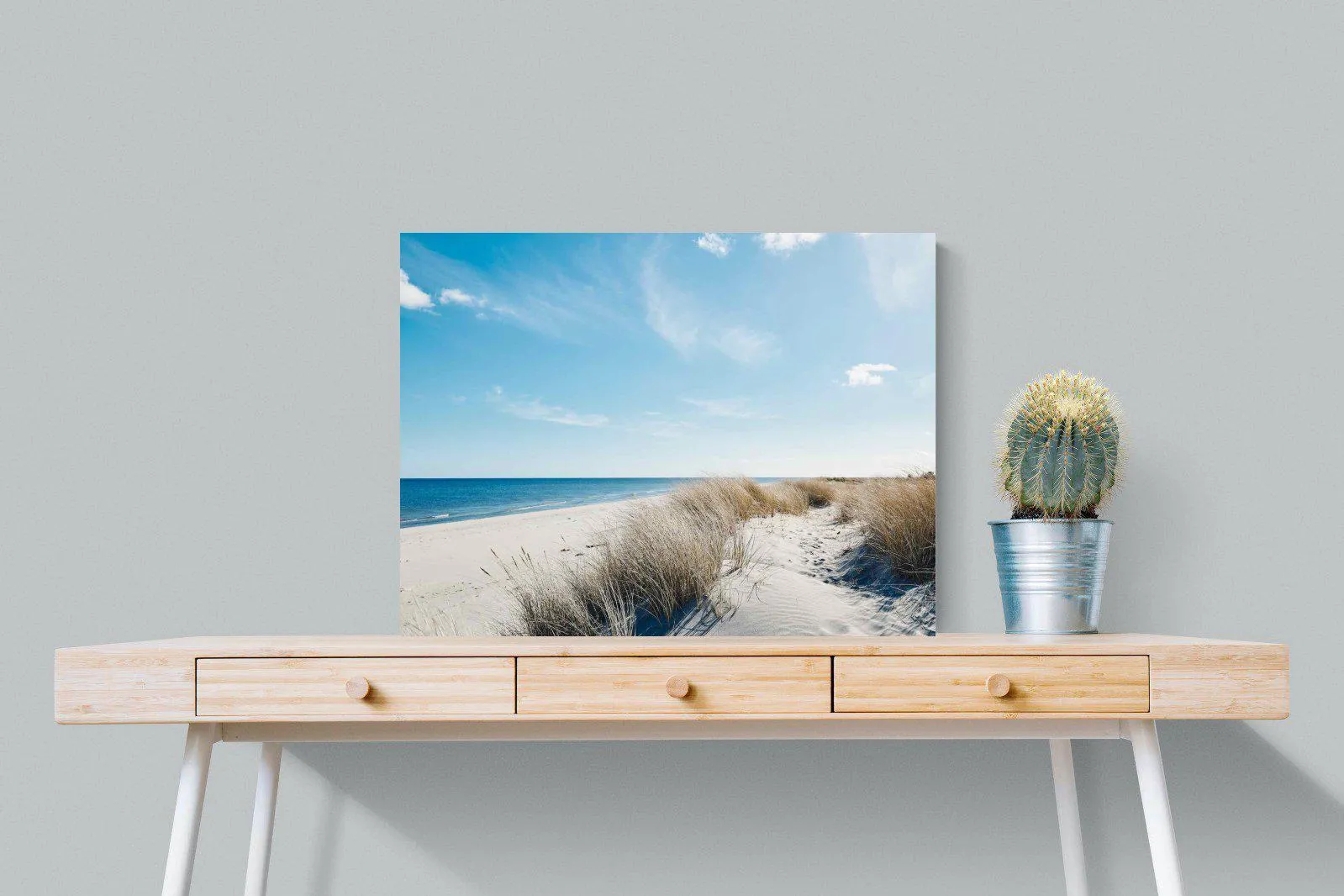 Danish Coastline