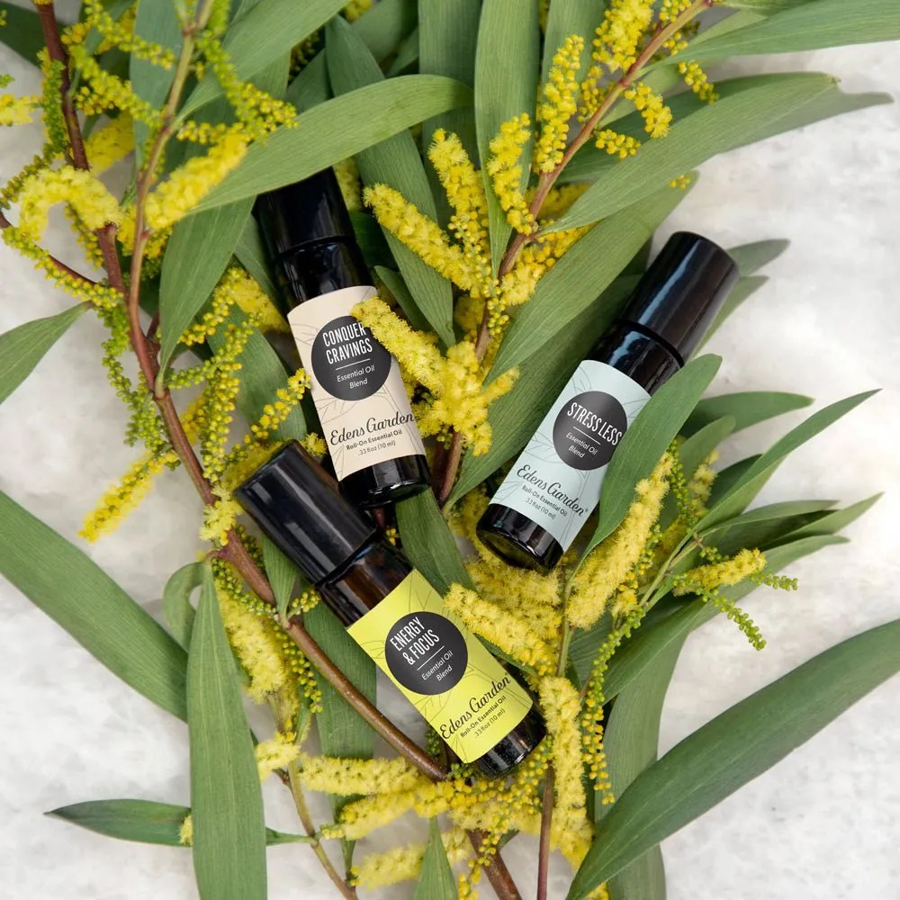 Energy & Focus Essential Oil Blend- To Decrease Fatigue, Uplift & Increase Motivation